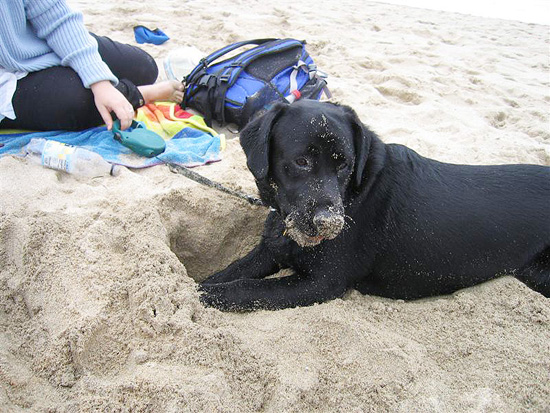 2004.08.29.charlie.half.moon.bay.05