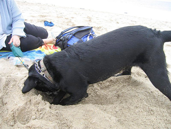 2004.08.29.charlie.half.moon.bay.06