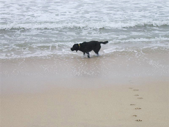 2004.08.29.charlie.half.moon.bay.10