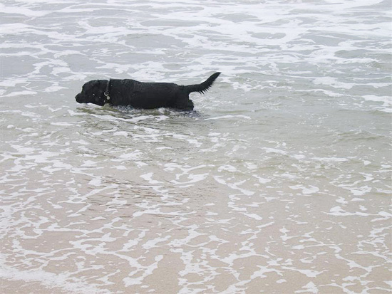 2004.08.29.charlie.half.moon.bay.11