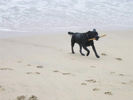 2004.08.29.charlie.half.moon.bay.13