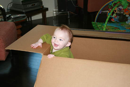 2008.10.11 - Dougie in a box - 0001