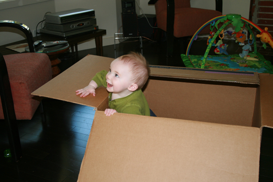 2008.10.11 - Dougie in a box - 0002