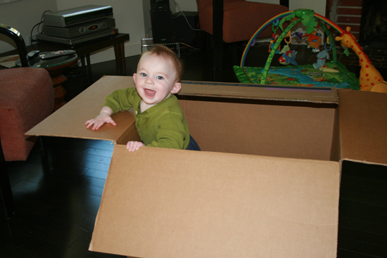 2008.10.11 - Dougie in a box - 0004