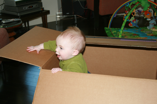 2008.10.11 - Dougie in a box - 0005