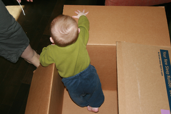 2008.10.11 - Dougie in a box - 0006