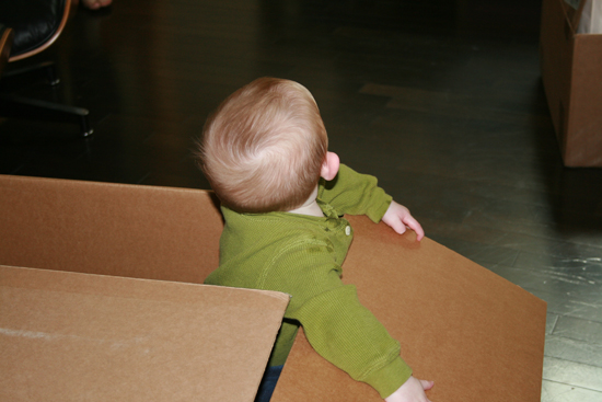 2008.10.11 - Dougie in a box - 0010