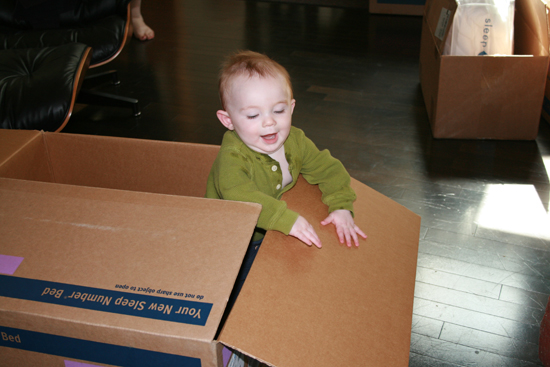 2008.10.11 - Dougie in a box - 0012