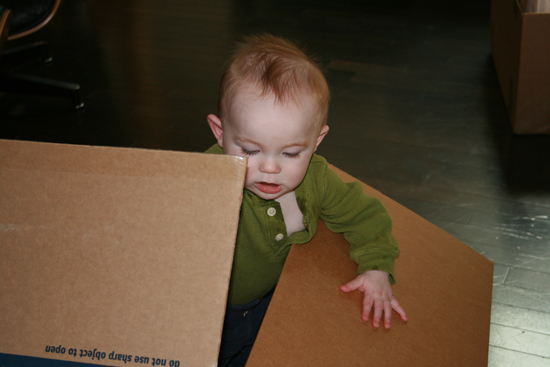 2008.10.11 - Dougie in a box - 0013