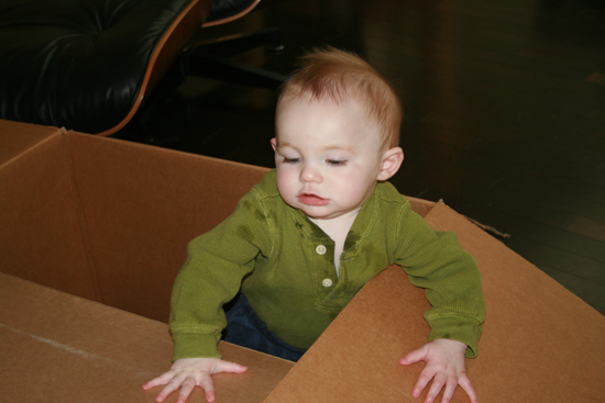 2008.10.11 - Dougie in a box - 0014