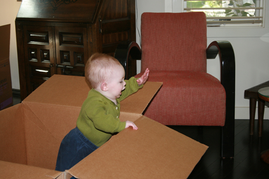 2008.10.11 - Dougie in a box - 0015