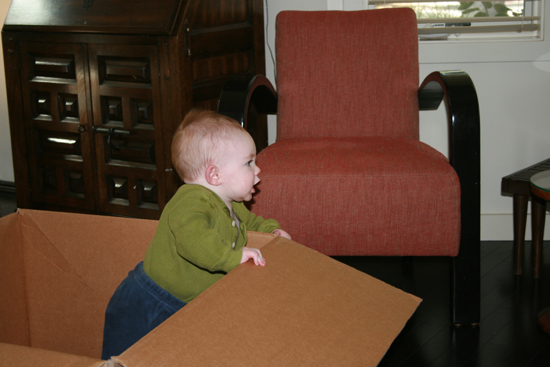 2008.10.11 - Dougie in a box - 0018