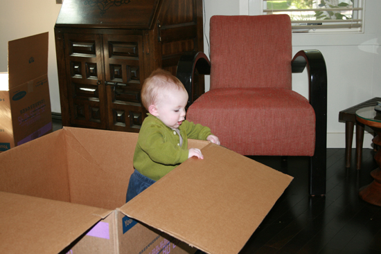 2008.10.11 - Dougie in a box - 0019