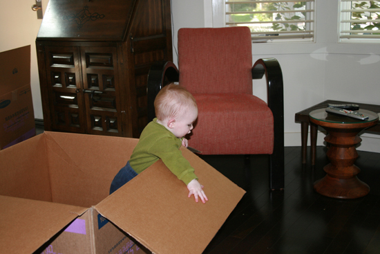 2008.10.11 - Dougie in a box - 0020