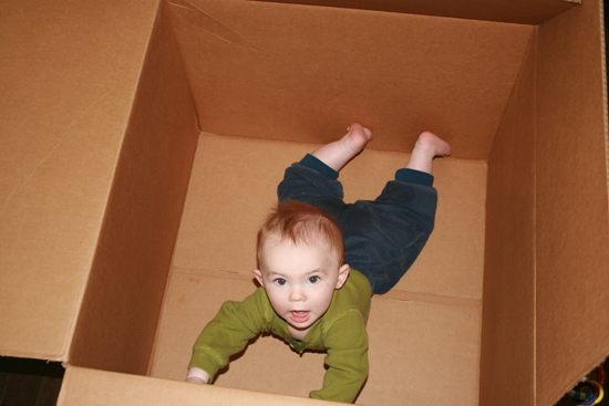 2008.10.11 - Dougie in a box - 0022