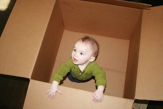 2008.10.11 - Dougie in a box - 0024