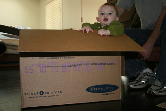 2008.10.11 - Dougie in a box - 0026