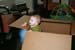 2008.10.11 - Dougie in a box - 0002
