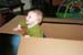 2008.10.11 - Dougie in a box - 0003